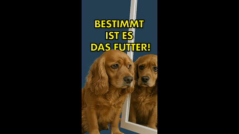 Es liegt bestimmt am Futter