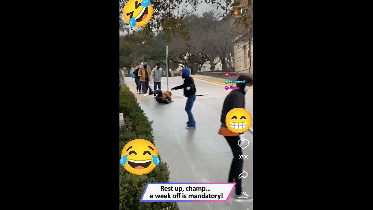 funny videos