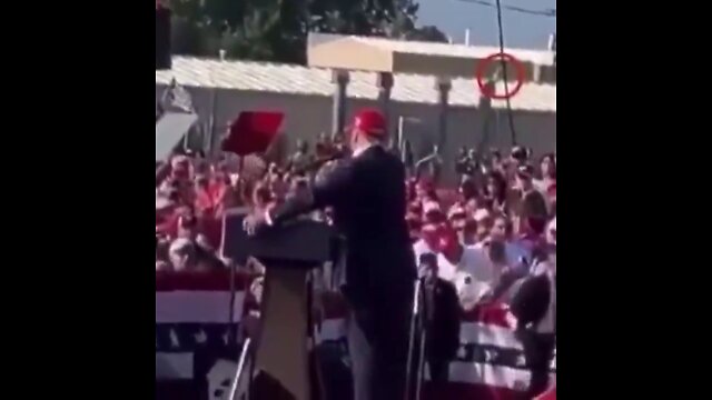 Yeah that's him, that's the guy!