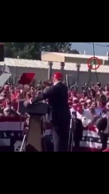 Yeah that's him, that's the guy!