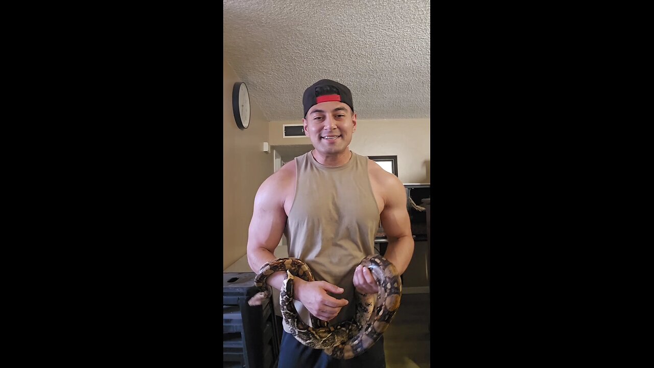 living with at the time I bought my snake without permission #snakes #boaconstrictor #reptile #expo