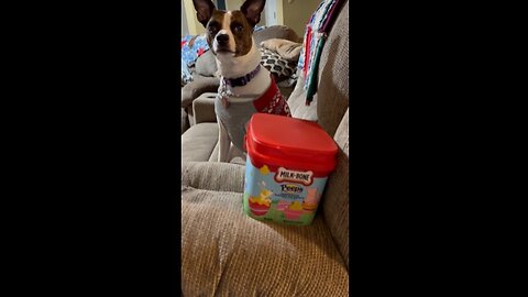 Peeps Dog Biscuit