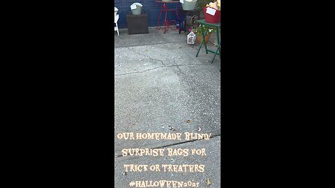 Homemade blind or surprise treat bags non sugar were a hit with all age groups!