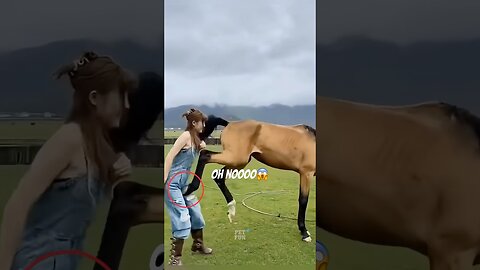 The Animals #funnyanimals #animals #pets #shorts