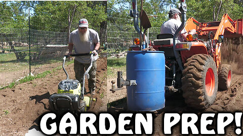 Big Garden Prep with Ryobi Tiller & Kubota Tractor | Homestead Life + Mini Donkey Dust Bath!