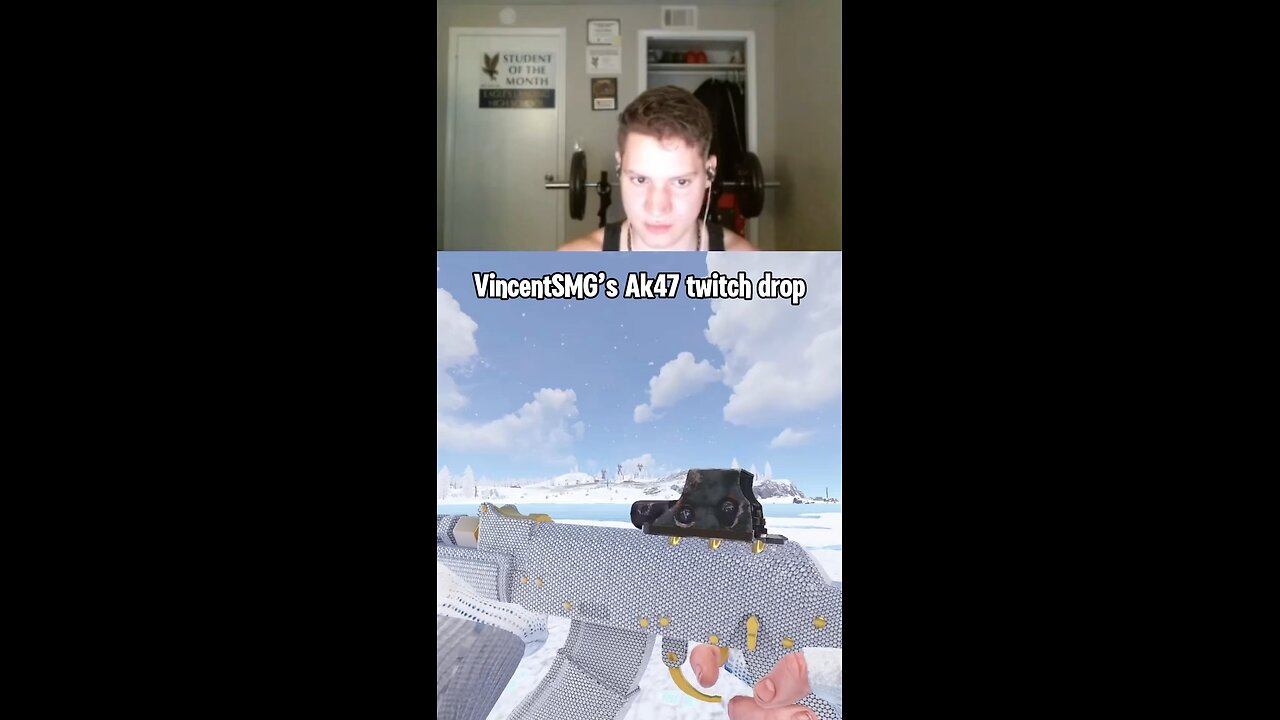 VincentSMG AK drop