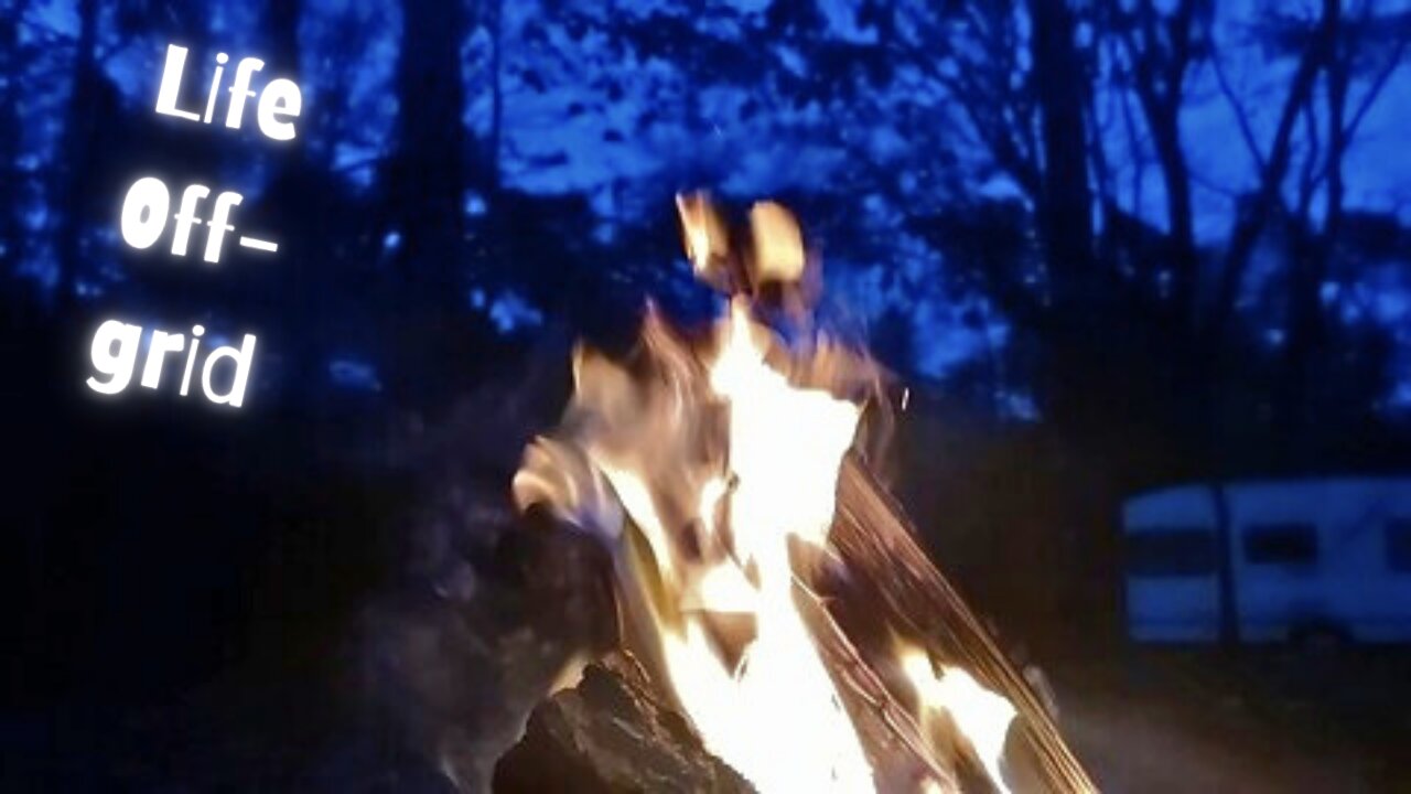 Life's about moments... 🚌🌳