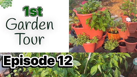 FIRST GARDEN TOUR! Zone 7a