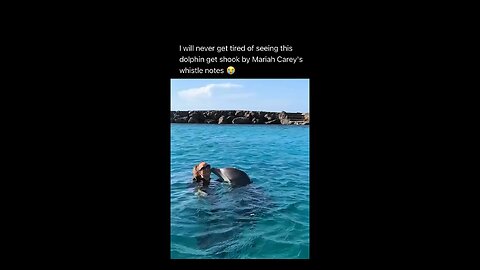 the way she does it higher than the dolphins 💀 #dolphins #mariahcarey #animals #celebrity