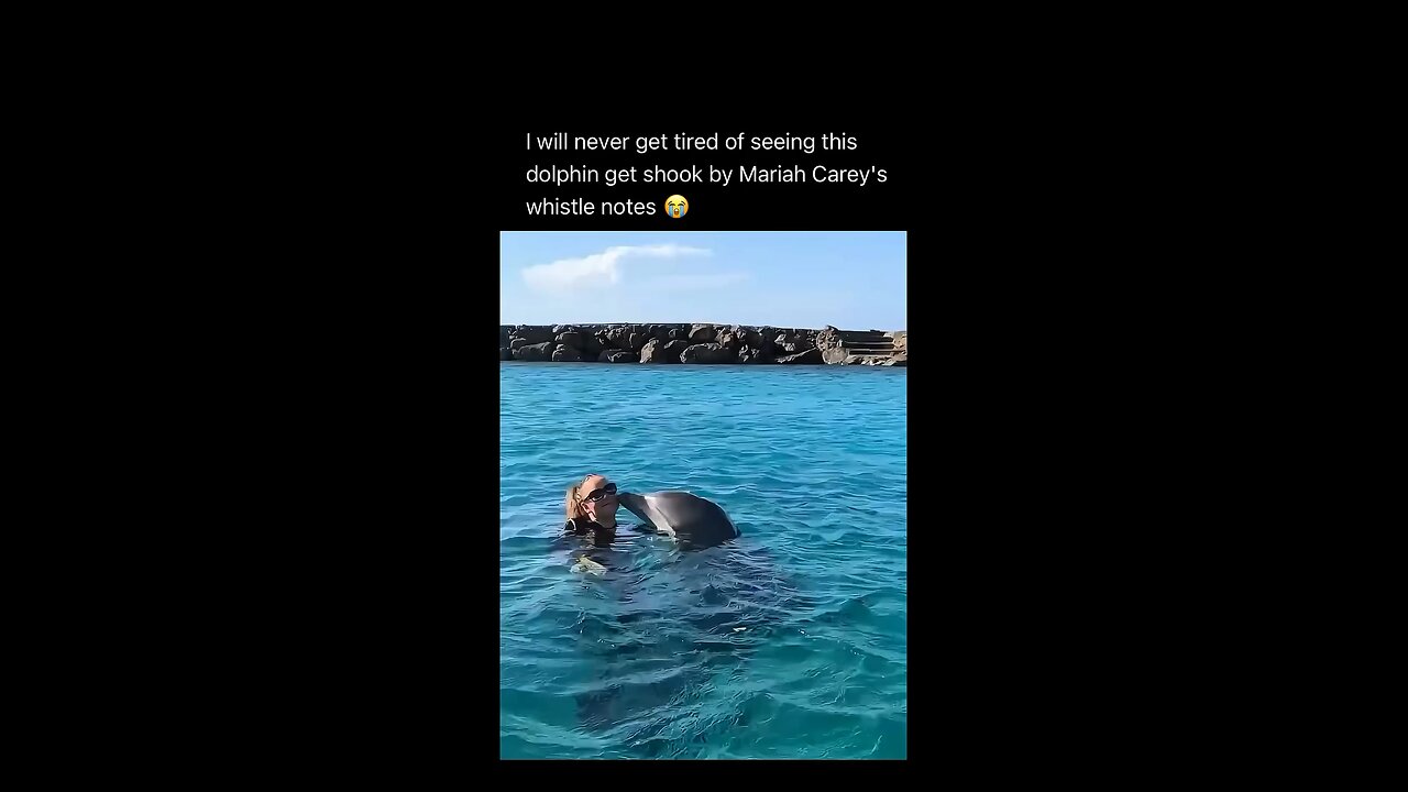 the way she does it higher than the dolphins 💀 #dolphins #mariahcarey #animals #celebrity