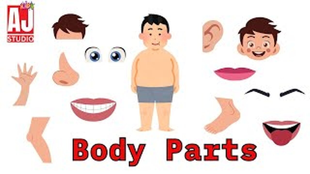 Lets learn Body Parts😊