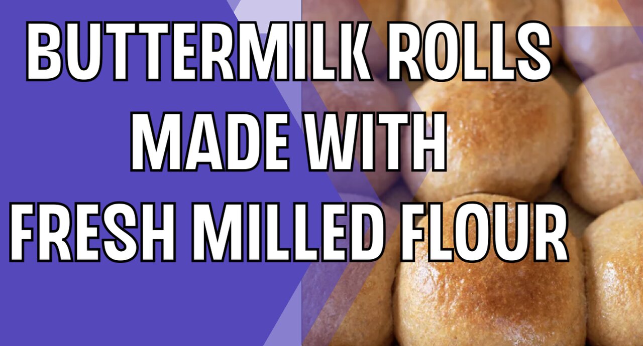 Buttermilk Rolls made with Fresh Milled Flour
