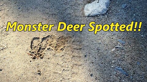 BIG Buck Spotted While Bird Hunting