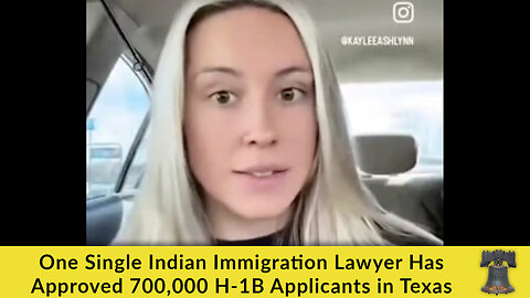 One Single Indian Immigration Lawyer Has Approved 700,000 H-1B Applicants in Texas