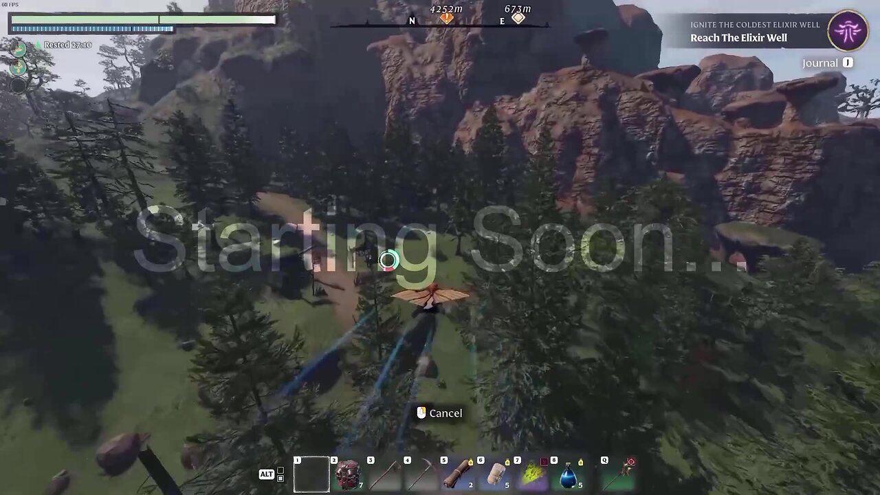 Spending some time in the Forest....