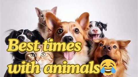 They’re cuter, funnier, and more talented than us… And we’re okay with that! 😅🐶😼"