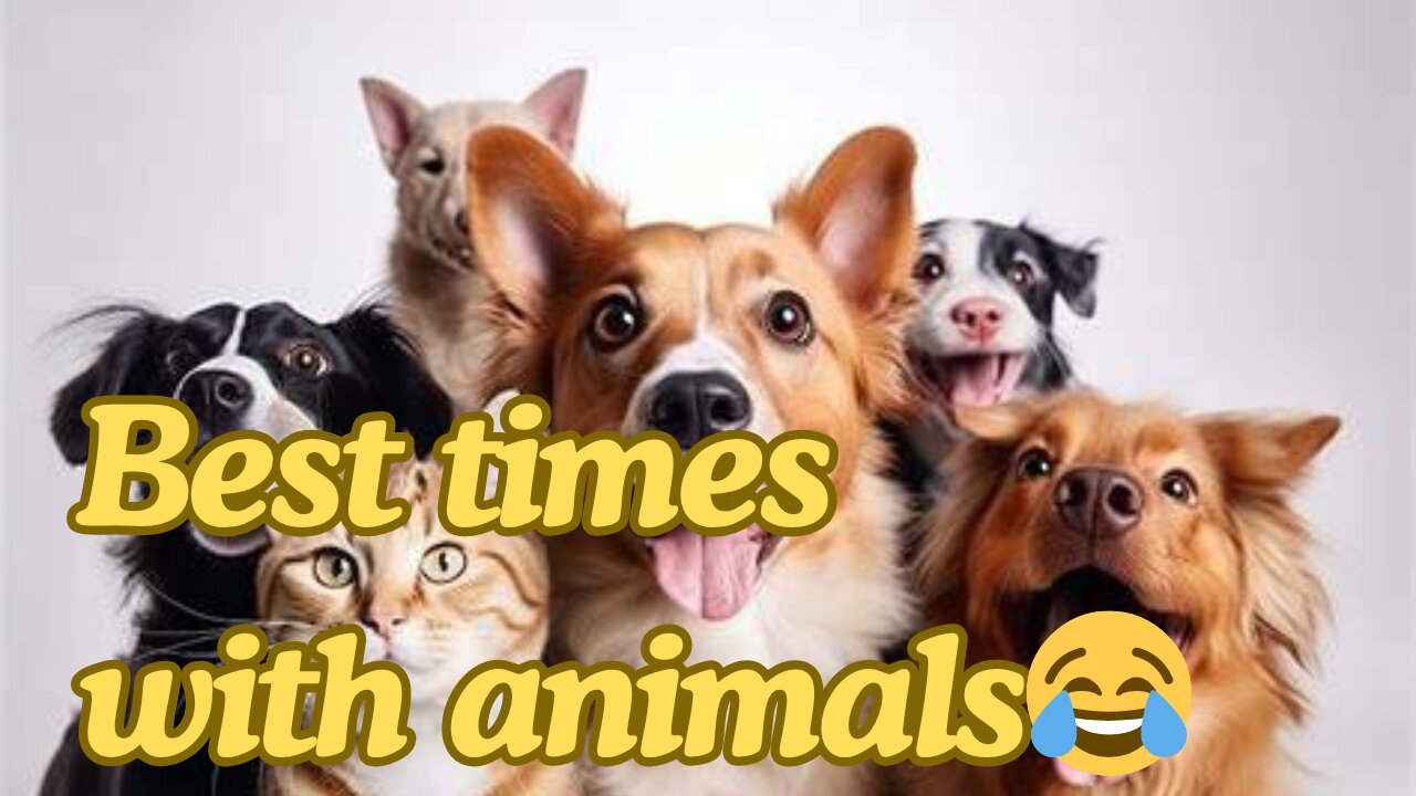 They’re cuter, funnier, and more talented than us… And we’re okay with that! 😅🐶😼"