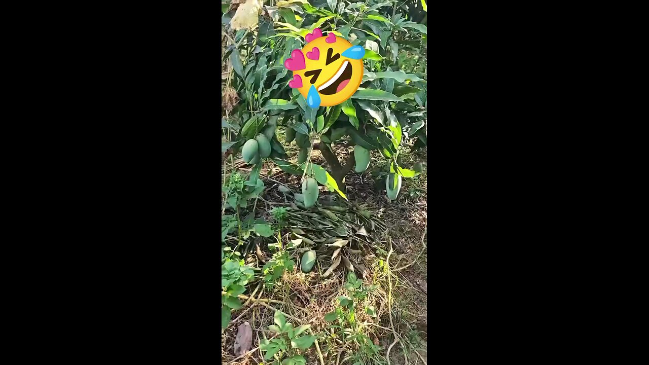 OMG
