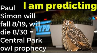 I am predicting: Paul Simon will fall 8/19, will die 8/30 = Central Park owl prophecy