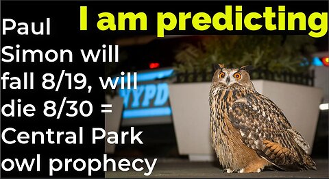 I am predicting: Paul Simon will fall 8/19, will die 8/30 = Central Park owl prophecy
