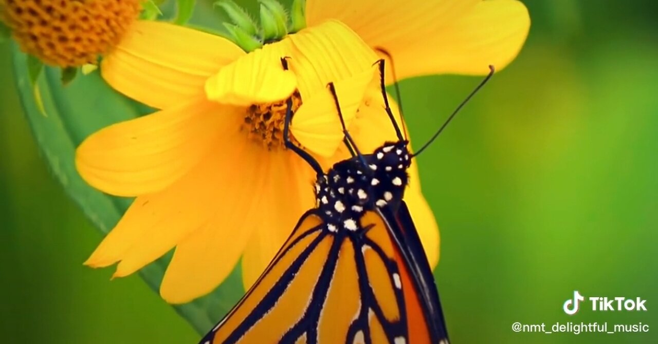 WAITING FOR GOD - DAILY DEVOTIONAL ❤️