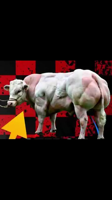 Look..What..They..Are...Doing...To..Our...Food