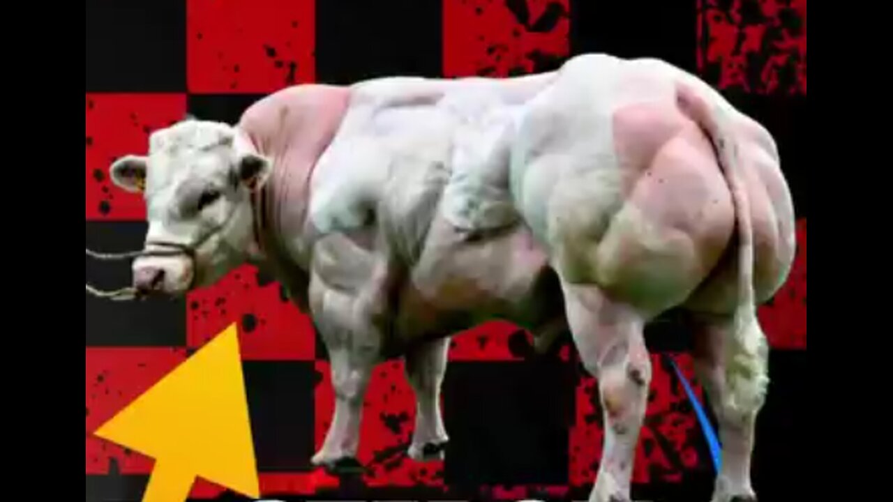 Look..What..They..Are...Doing...To..Our...Food