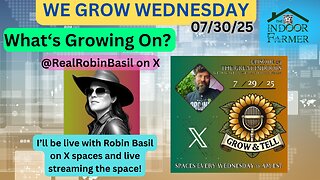 We Grow Wednesday 7/29/25, The Ins & Outs Of Indoor Growing With Robin Basil