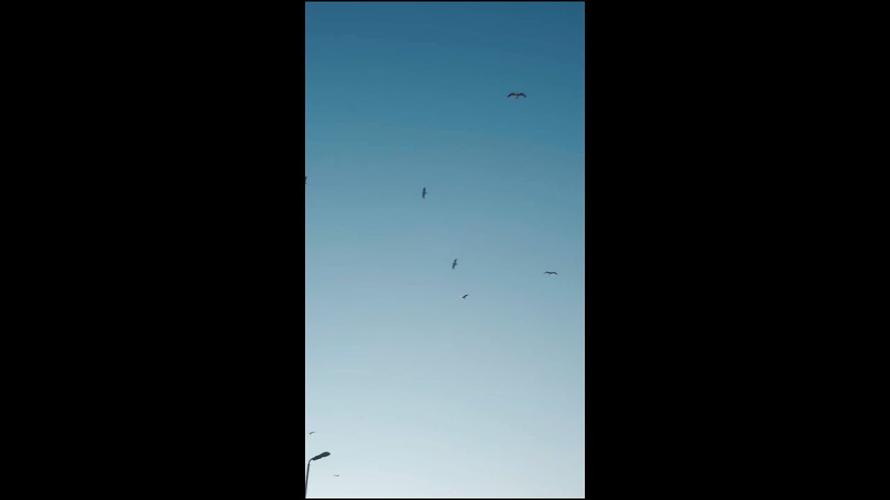 Daily Verse April 12th 2025