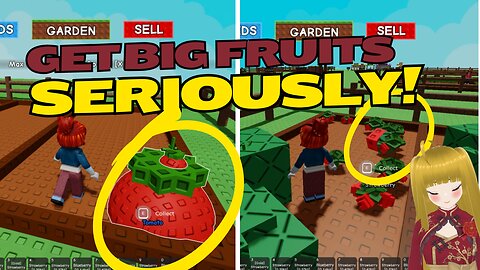 Big Tomato and Gold Blueberry Fruits in Grow a Garden Roblox Gameplay