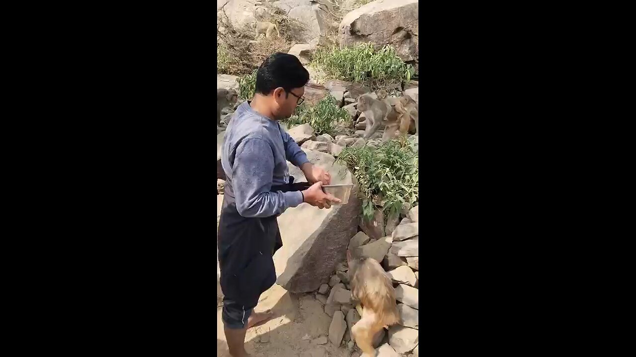 Radhe Krishna Radhe Radhe