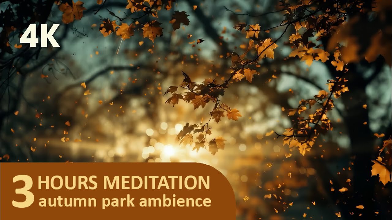 ❤️Meditation & Healing – 3 Hour Calming Loop in 4K | Relaxing Nature Ambience | Autumn ASMR Tingles