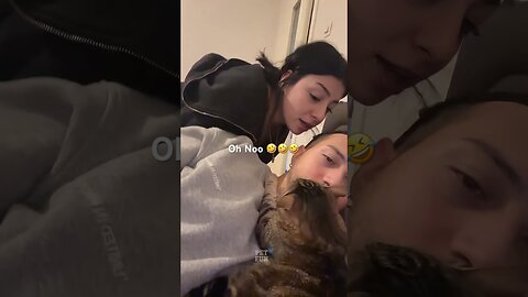 Animals Funny Compilation #funnyanimals #animals #pets #shorts