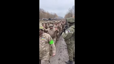 29 октября 2025 г.