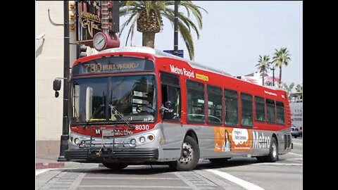 LA Metro Your a Wild Star [Music]