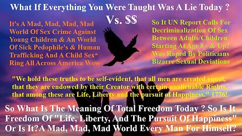 So What Is Freedom Today? So Is It Freedom Of Life, Liberty, And The Pursuit Of Happiness Or Is It?