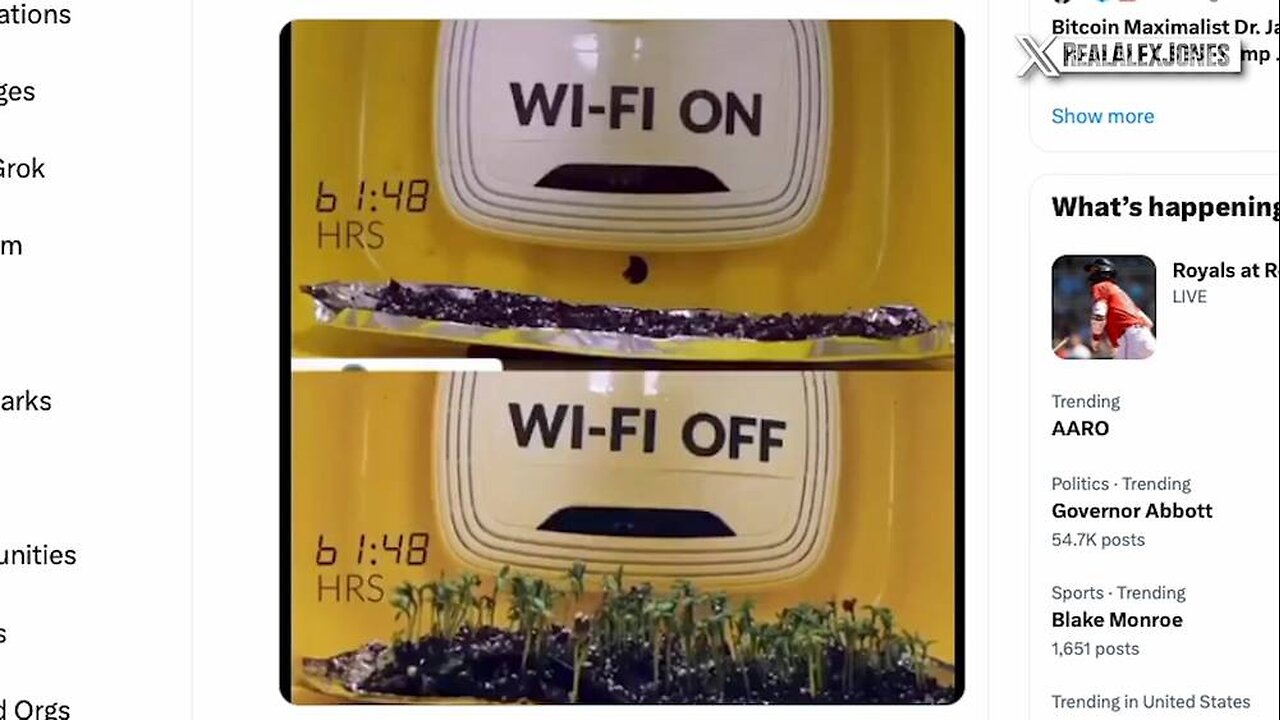 See Total Video Proof That 5G WIFI Kills Plants Animals And Humans
