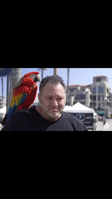 You and I broke the law, Jesus paid the fine