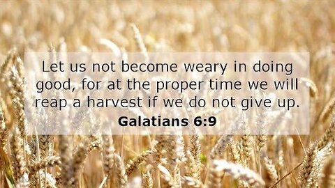 40 Day Fast - Day 10!