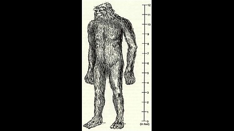 Tano Giant