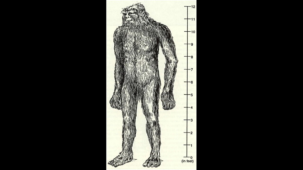 Tano Giant