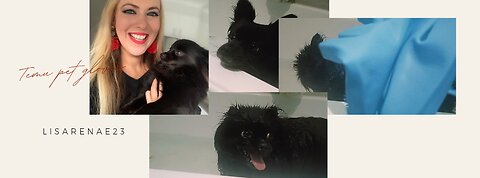 Temu gloves 🧤 Pet 🐶 gloves