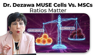 Dr. Dezawa MUSE Cells Vs. MSCs Ratios Matter