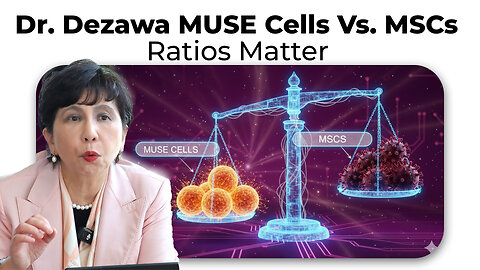 Dr. Dezawa MUSE Cells Vs. MSCs Ratios Matter