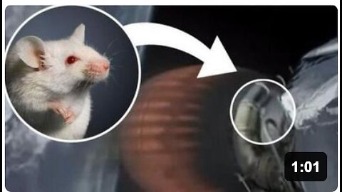 SpaceX Deceit "Mouse Caught on A So Called Running SpaceCraft Engine"