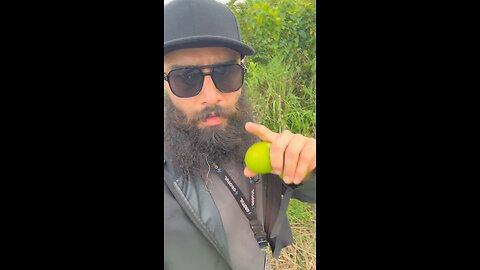 Limón - Sergio Salgado - Grotul