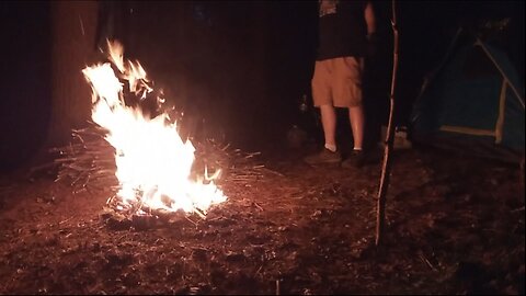 Forest Camping