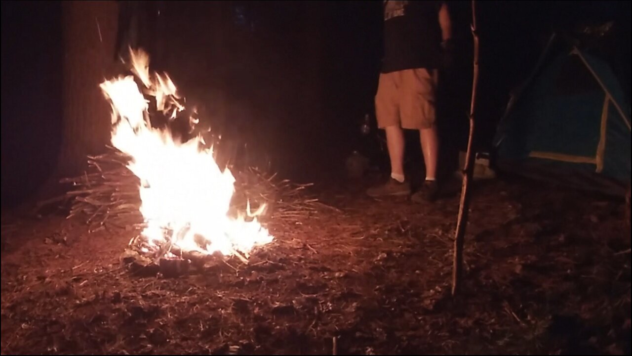 Forest Camping