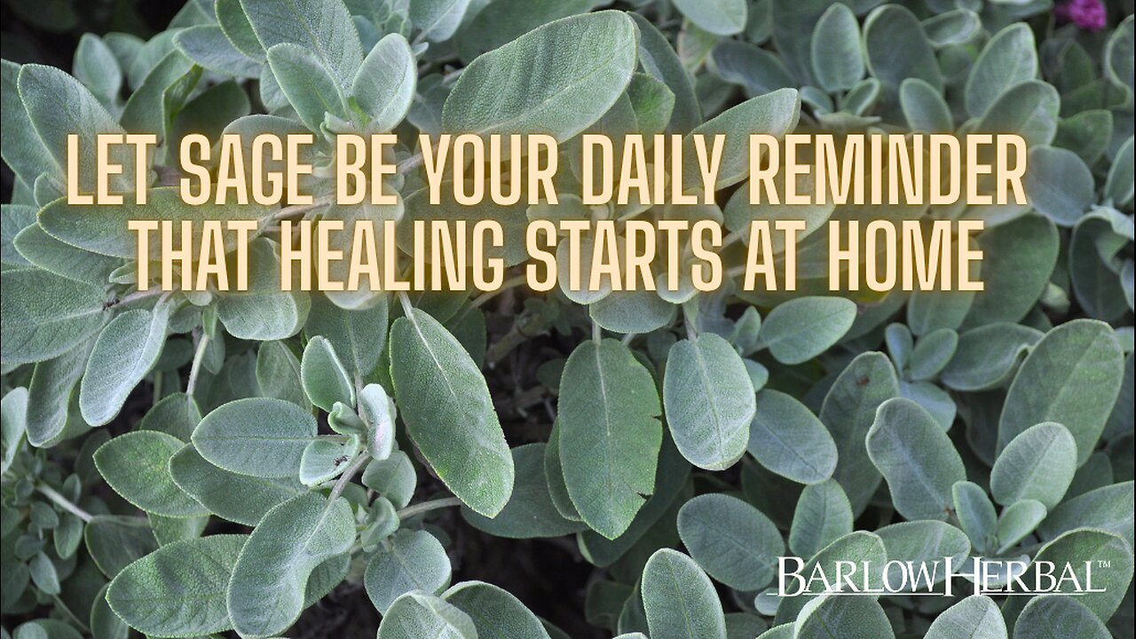 The Health Benefits of Sage