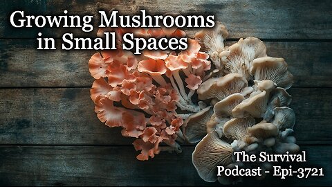 Growing Mushrooms in Small Spaces - Epic-3721